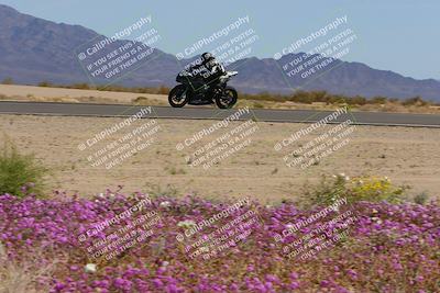 media/Mar-12-2023-SoCal Trackdays (Sun) [[d4c8249724]]/Turn 15 Inside Bloom (130pm)/